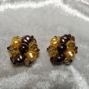 Vintage Germany Signes Clip On Earrings lucite Bead Cluster Earth & Gold Tones